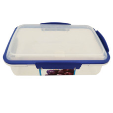 PL CONT 1.1LT 1100ML