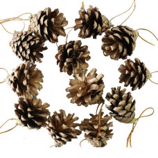 XM DECO ACORN GOLD SML 12PCS