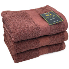 TOWEL EGY HAND BROWN 50X90CM BRISTOL