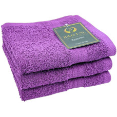 TOWEL EGY GUEST PURPLE 30X50CM BRISTOL