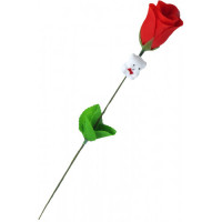 VLT ROSE W/TEDDY BEAR IN TUBE 38cm