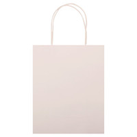 GIFT BAG PLAIN WHITE MED