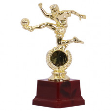 TROPHY PL CUP 16CM GOLD SCCR