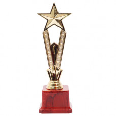 TROPHY PL CUP 24CM GOLD WITH STAR