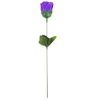 MDAY ROSES ASSRTED COLOURS SCENTED 35cm
