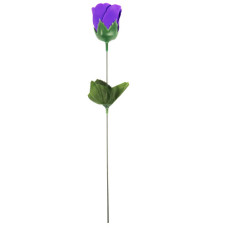 MDAY ROSES ASSRTED COLOURS SCENTED 35cm