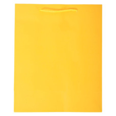 GIFT BAG 26X32CM PLAIN ASST COLOURS