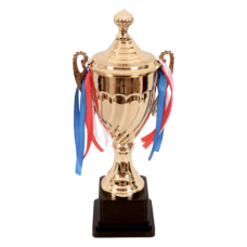 TROPHY  METAL CUP 36.5CM GLD W/RIBBONS