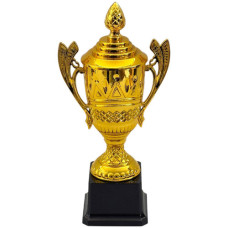 TROPHY PL CUP 26CM GOLD W/DESIGN