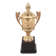 TROPHY PL CUP 23CM GOLD W/DESIGN