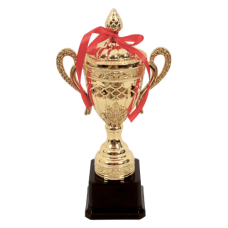 TROPHY PL CUP 29CM GOLD W/DESIGN &RIBBON