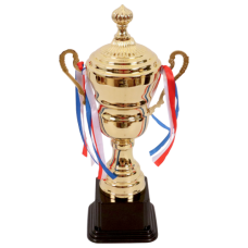 TROPHY METAL CUP 35CM GLD W/DESIGN