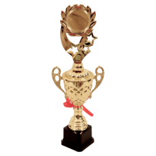 TROPHY PL CUP 39CM GLD W/RED RIBBON