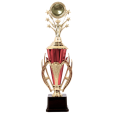 TROPHY PL CUP 41CM GOLD W/DESIGN & STARS