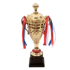 TROPHY METAL CUP 29CM GLD W/RED & RIBBON
