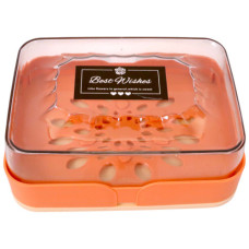 PL SOAP BOX CLEAR W/FLOWER DRAINING BASE