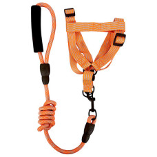 PET DOG LEASH ROPE W/HARNESS /FOAM HANDL