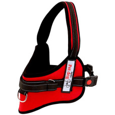 PET DOG HARNESS REFLECTIVE LRG ASSRTD