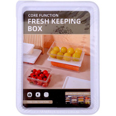 PL CONT 2s FRESH KEEPING BOX