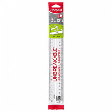 BTS RULER 30CM MAPED UNBREAKABLE 1s