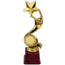 TROPHY PL CUP 24CM GOLD W/STAR
