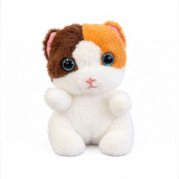 PLT KITTEN 2TONE PLT KITTEN 2TONE