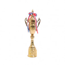 TROPHY PL CUP 38CM GOLD