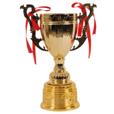 TROPHY PL CUP 25CM GOLD
