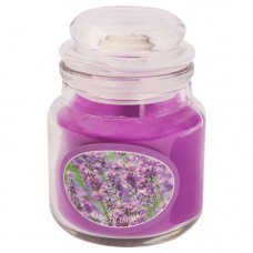 CANDLE INSECT 7CM GLASS BOTTLE PURPLE