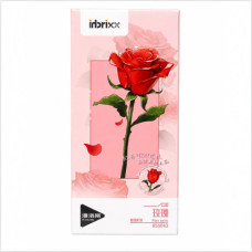 TOY DIY PLANT SERIES ROSE 655043
