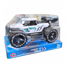 TOY FR MONSTER TRUCK