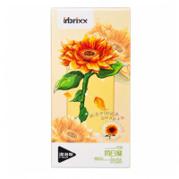 TOY DIY PLANT SERIES 655069
