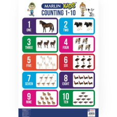 BTS CHART COUNTING 1-10 M/KIDS