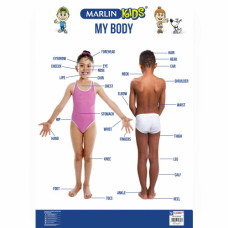 BTS CHART MY BODY M/KIDS