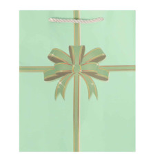GIFT BAG 18X23CM W/BOW ASST COLOURS