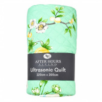 QUILT 220*200 1PC PRINTED ULTRASONIC