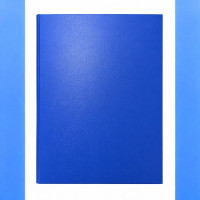 BTS FILE R/BINDER ESSELTE BLUE 14452 BTS FILE R/BINDER ESSELTE BLUE 14452