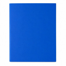 BTS FILE R/BINDER ESSELTE BLUE 14452