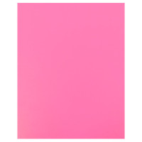 BTS FILE R/BINDER ESSELTE PINK 18184