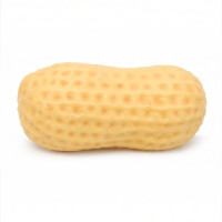 TOY SQUISHY PEANUT 1s