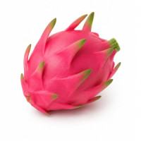 TOY SQUISHY DRAGONFRUIT 1s