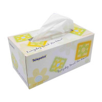 TISSUE 200s 2PLY BOXED TELEPOINT