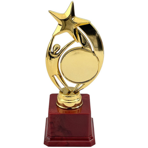 TROPHY PL CUP 20CM GOLD W/STAR TROPHY PL CUP 20CM GOLD W/STAR