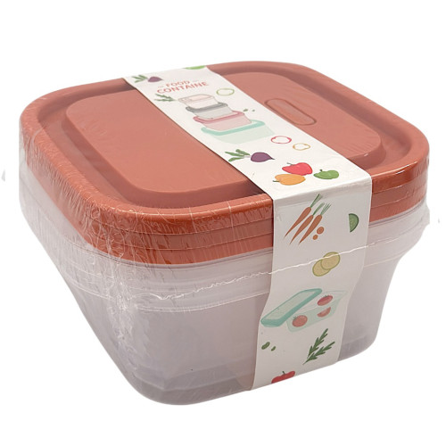 PL CONT 3PC 19.5X8CM ASST 3PC PL CONT 3PC 19.5X8CM ASST 3PC