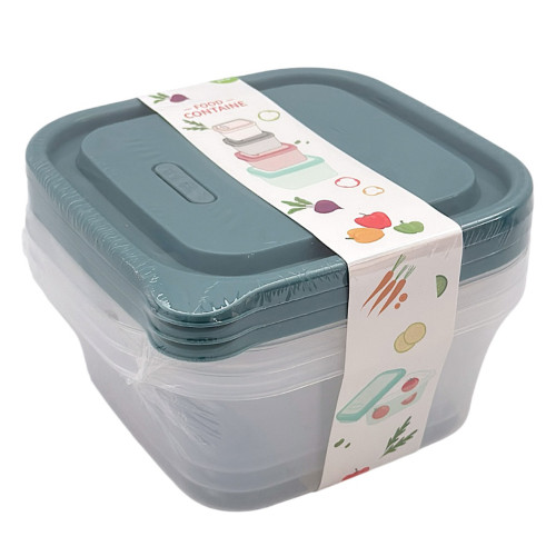 PL CONT 3PC 19.5X8CM ASST 3PC PL CONT 3PC 19.5X8CM ASST 3PC