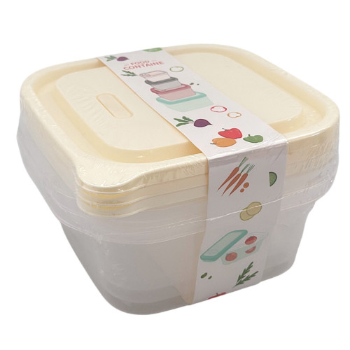 PL CONT 3PC 19.5X8CM ASST 3PC PL CONT 3PC 19.5X8CM ASST 3PC